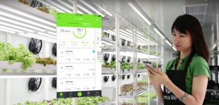 컨테이너 화물농장에 대한 이미지 검색결과(이미지 포함) | 스타트업, 수자원, 농장