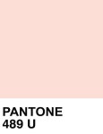 Pantone color 489 Blush.  But in the Bahamas we call this color: Sand.  <3 www.nassauandparadise.com <3 | 색깔, 스와치, 색