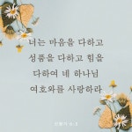 너는 마음을 다하고 성품을 다하고 힘을 다하여 네 하나님 여호와를 사랑하라 | 하나님, 성경 구절, 성경