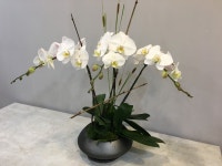 Orchid  arrangements에 있는 Juyeon Kim님의 핀