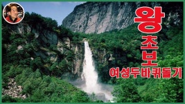 왕 초보 여성 지루박 두바퀴돌기 사교댄스 사교춤 초급 초보 배우기 학원-동대문 댄스 학원 | 사교춤, 배우기, 왕