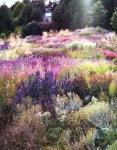 Piet Oudolf garden... | 정원 가꾸기, 코티지 가든, 자연