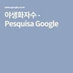 야생화자수 - Pesquisa Google (com imagens) | Pesquisa, Pesquisa google