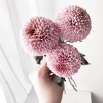 florist) on Instagram: “오늘도 시장 갔다가 창업반 수업 하고 창업반 상담 까지 연속으로! ..💃🏻(블스 창업반은 1:1... 
