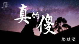 徐佳莹 - 真的傻 『超高音質』【動態歌詞Lyrics】 | Poster, Movie posters, Art