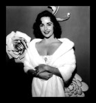 종선 이님의 리즈 테일러 이미지 | 리즈