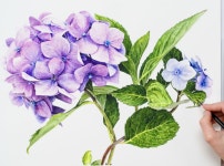 보태니컬 아트에 있는 BongAe Song님의 핀 | 꽃, 꽃 사진, 라일락