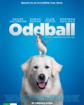 호주에 내가 사는 곳이 배경인 실화영화 #오드볼 #oddball #warrnambool 내가 지나쳤던 곳 놀러갔던 곳이 영화의 배경으로 나온다... 