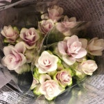 귀여운 쿠르쿠마💚 _ _ _   instadaily instaflower beautiful flower florist 러블리 귀여워 꽃 핸드타이드 꽃스타그램 일상 홍대... 