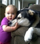 내 친구를 소개합니다. | 강아지, 개