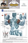 Pin de 나무랑 나랑 en PT en 2020 | Ejercicios hombro, Ejercicios, Ejercicios de entrenamiento