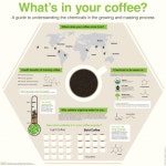 Whats in your coffee? | 커피