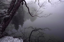 Pin by 🐾 on ㅤㅤㅤㅤㅤㅤ in 2022 | In the pale moonlight, Scenery, Weird dreams