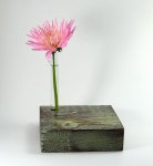 cool !!!!!에 있는 Jung Man Lim님의 핀(이미지 포함) | 인테리어, 화분