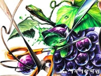 포도에 있는 heeju님의 핀 - 2023 | 포도