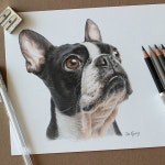 색연필 1 (colored pencil)에 있는 핀