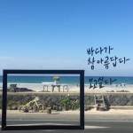 제주도 사진찍기 좋은 곳 : : 너무예쁜 세화해변 &amp; 카페공작소 제주도 프롤로그 후 1등으로 하는 ... | 블로그