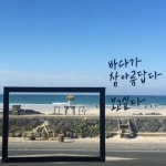 제주도 사진찍기 좋은 곳 : : 너무예쁜 "세화해변" & "카페공작소" 제주도 프롤로그 후 1등으로 하는 ... | 블로그