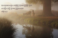 04.말씀.묵상에 있는 사랑 별님의 핀