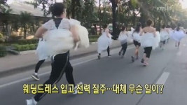 얼레벌레짤아카이빙에 있는 ◡̈님의 핀 | 요지경