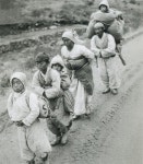 전쟁 카테고리의 글 목록 | 전쟁, 역사, 한국