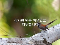 감사한 만큼 여유있고 따뜻합니다.