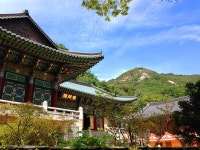 Gyeryongsan National Park (계룡산) | South korea travel, National parks, Daejeon