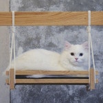 WEBSTA @_compages 콤파게스 오크 원목 캣타워 촬영을 위해 공방을 방문해준 예쁜 모델 크림이 in 2020 | Woodworking... 
