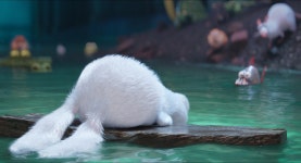 snowball에 있는 핀