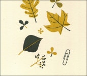 Pin by 준선 박 on 자료 | Autumn illustration, Plant illustration, Drawing and illustration