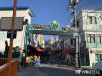 최강 한파 닥친 포방터시장 근황 (+돈가스집 사장님 인터뷰) | New view, Times square, Maine