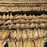 Pin by 강다방 이야기공장 on 강릉살이 | Wood, Firewood, Crafts