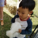 첫줄  호주한달살기   Cairns   아이와함께여행하기   동물농장2 한국가서도 동물들 잡는다고 만진다고할까봐 걱정ㅋ 거침없네... 