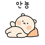 곰돌찡은 하루종일 누워이찡