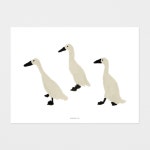 웜그레이테일에 대한 이미지 검색결과 | 동화