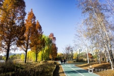 일산호수공원