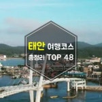 안면도자연휴양림 | 여행, 여행지