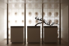 편강한의원 / 양재 본원 – STUDIOVASE | 인테리어, 인테리어 장식, 상점 내부 디자인