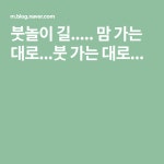 붓놀이 길..... 맘 가는 대로...붓 가는 대로... | 아트