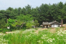 가평설악어때 | 집 스타일, 글램핑, 아말피