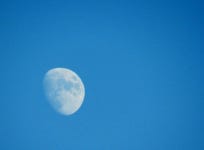 아침달  달  달사진  moon  🌔  하늘  하늘사진   갬성샷  📸  사진  사진그램   일상  좋… | Instagram posts, Instagram, Celestial