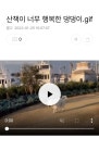 산책이 너무 행복한 댕댕이.gif - 2023 | 행복한, 시각, 라이프 스킬