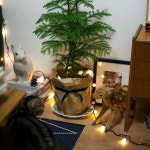 Small Christmas tree and deer sopo-villa.com  작년에 쓰던 전구를 꺼내다 같이 있던 사슴 데려옴.옆방에 있던 토끼도 데려옴. 호기심많은...