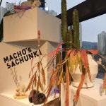 sachunki)님: 마초의사춘기 쇼룸은 분당구 운중로229 레이디가구 2층에 위치해 있습니다! 생화, 조화, 아트웍등 마초의사춘기... 