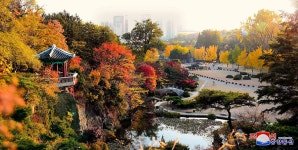 이녘에 있는 수처작주님의 핀 | 관광