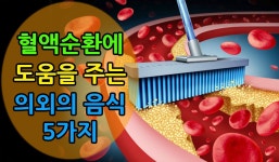 혈액순환에 도움을 주는 의외의 음식 5가지 | 음식