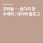 코바늘 … 솜다리 꽃 수세미 : 네이버 블로그 - 2020(이미지 포함) | 블로그, 코바늘, 뜨개질