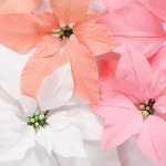 paper poinsettias by A Petal Unfolds | 꽃 만들기