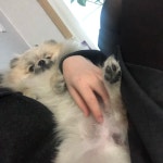 Watch the Best YouTube Videos Online -  #대전 #부산 #인천 #좋반 #셀카 #셀스타그램 #selfie #좋아요테러 #인친 #다이렉트 #다렉 #팔로미... 