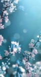 1 ✨ | Flowers photography wallpaper, Blue flower wallpaper, Photography wallpaper | 자연 사진, 아름다운 월페이퍼, 배경